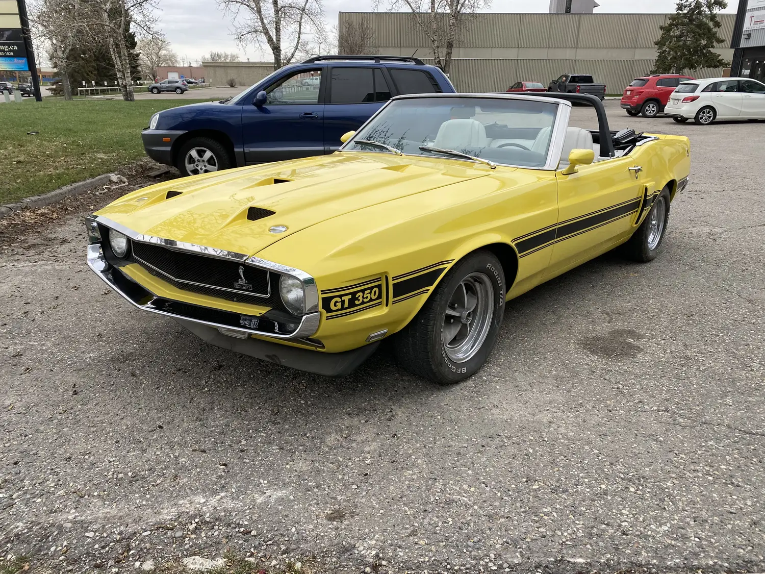 1969 Shelby GT 350